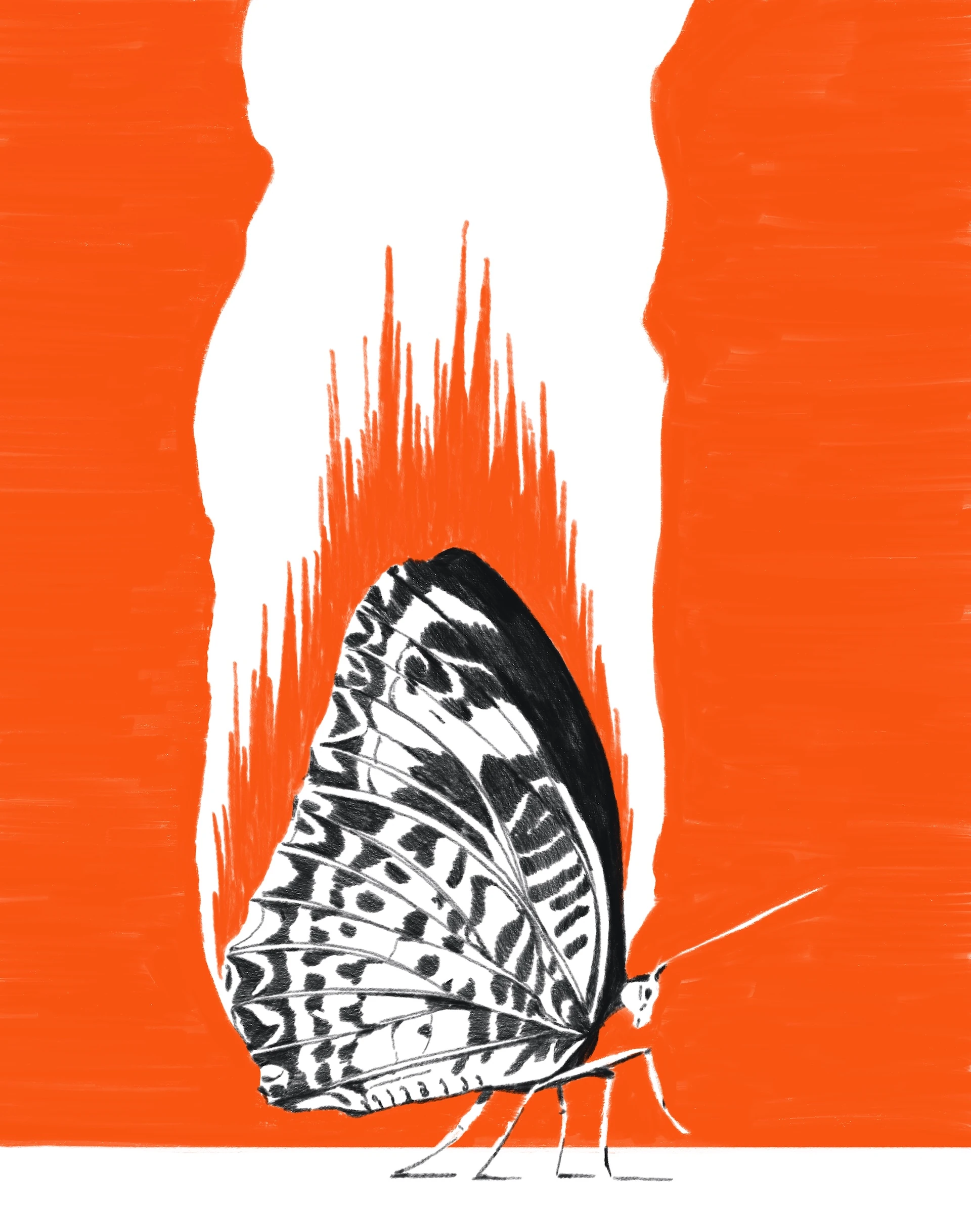 OOO - Show — artwork by Florian Meissner